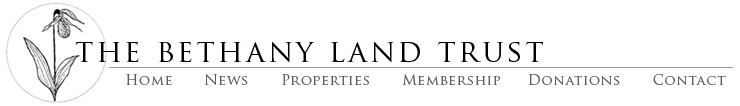 Logo Menu