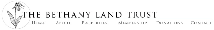 Logo Menu