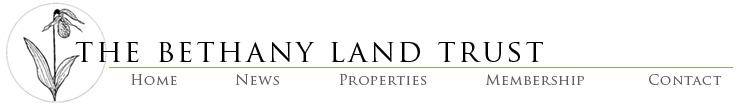 Logo Menu